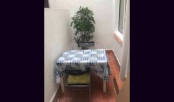 mesa sillas planta balcon pequeno piso