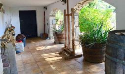 porche casa jardin plantas barril